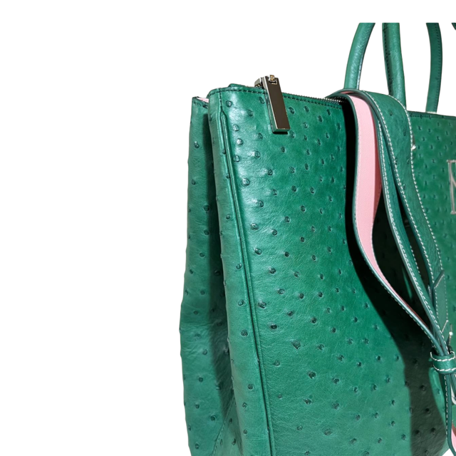 FIERCE briefcase