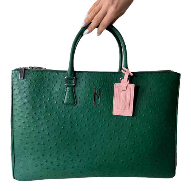 FIERCE briefcase